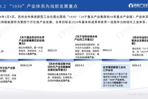《CS地图中文》生态发展分析报告（2025Q2）