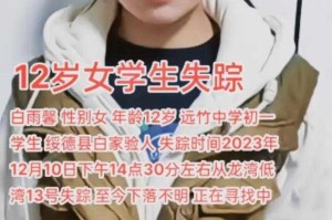 如何帮助寻找失踪的15岁青春少年？有效方法有哪些？