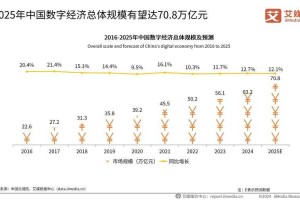 2025N3DS市场现状用户调研趋势预测