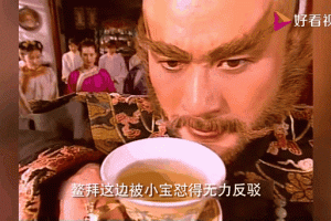 张卫健版鹿鼎记全集免费高清在线观看-经典港剧重温