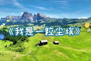 一粒尘埃比喻人生情感：渺小中的深刻与永恒