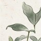 如何获取高质量护眼壁纸？超清壁纸如何保护视力？