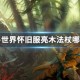 魔兽世界怀旧服亮木法杖哪里出