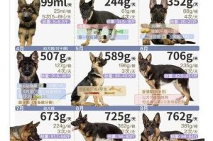 萌宠特遣队新手必问：宠物怎么培养？