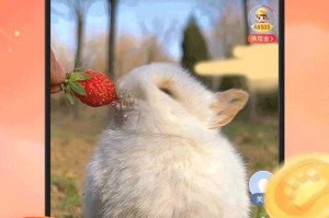 手机百度app极速版下载-官方最新版本高速体验