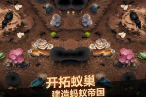 小小蚁国怎么提高防御