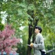 《一闪一闪亮星星》海鱼儿角色解析：张万森的深情守护