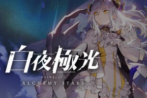 白夜极光角色强度榜_1