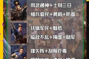 《三国2007加强版：经典策略游戏重制，全新武将系统与战斗升级》