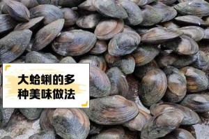 木筏求生大蛤蜊有什么用