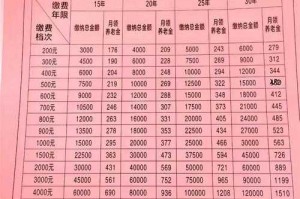 城乡居民基本养老保险基金绩效评价报告：全面分析与优化建议