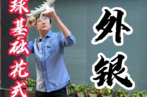 如何观赏和拍摄到壮观的天外银龙？技巧全解析