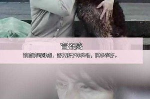 如何理解电影《0079剧场版三部曲》的剧情深度与独特之处？