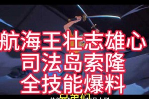 根据提供的《海贼炫斗》2025年5月生存指南，以下为关键策略解析与优化建议：