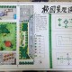 解码校园pop1n高中多场地文的多维文化图景