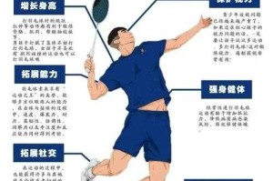 一根羽毛球上通常有几根羽毛？标准羽毛数量解析