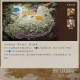 三国志刘备传隐藏装备获取攻略及全装备解锁方法