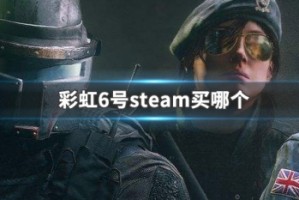 彩虹6号steam买哪个