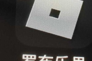 罗布乐思为什么进不去了