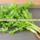 草莓樱桃丝瓜秋葵榴莲黄瓜大全：爱情与责任的最佳平衡