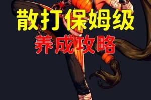 DNF2025散打职业技能数据对比实战指南