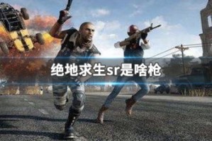 绝地求生sr是啥枪