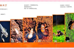 生命奇迹：探索自然与人类创造的不可思议现象
