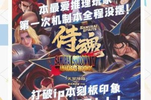 《侍魂5》特别版市场表现与技术升级玩家反馈