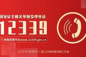 如何正确使用12339举报平台：国安局的举报流程与注意事项