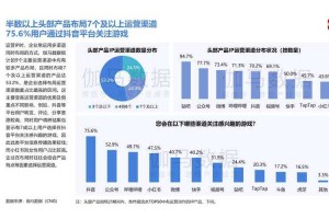 以下是针对游戏玩家类型与未来趋势的深度分析与建议框架：