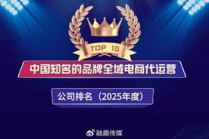 《雷霆S》2025年度运营报告核心亮点与行业启示分析
