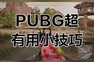 绝地求生视角优化技巧：提升游戏体验