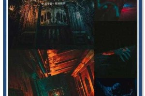 揭秘五号房间：探索神秘空间背后的故事与真相