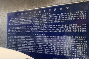 《布林机》停运公告与玩家关怀及迁移