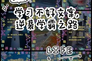 《学渣逆袭学霸男神的鸡血成长秘史》