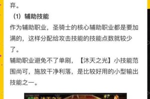 DNF圣骑士PK加点攻略：智力与精神属性选择指南