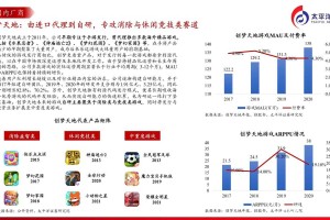 针对提供的游戏行业数据及未来规划，以下为结构化分析和建议：