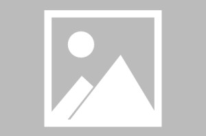 春节福气抽奖礼包已开放领取_1
