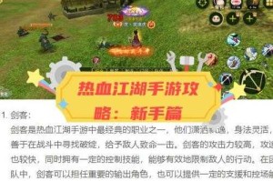 热血江湖刀客级任务攻略：详尽任务流程与奖励分析