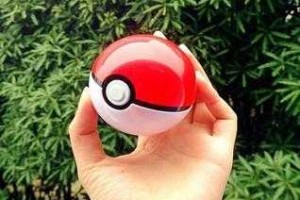 宠物球联网激活失败怎么办？快速解决方法一览