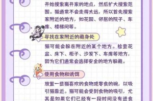 如何安全有效地进行失物招领？失物招领攻略与实用技巧分享