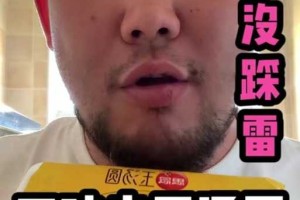 猫之宿约者汤圆怎么煮