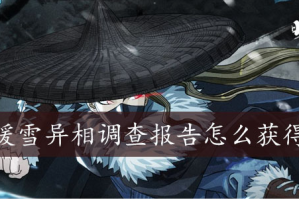 暖雪异相调查报告怎么获得