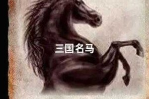 三国名马卢马最初是谁的坐骑？揭秘三国第一宝马归属之谜