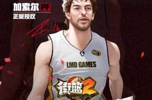 张昊然街篮正确玩法攻略：从入门到精通技巧解析