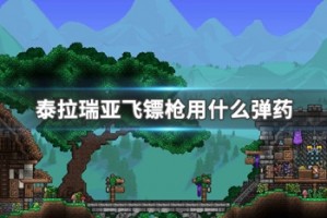 泰拉瑞亚飞镖枪用什么弹药