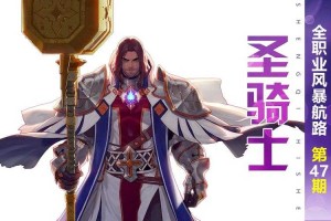 以下是对《DNF》圣骑士职业深度分析报告的结构化解读与建议：