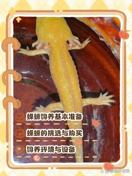 魔法饲料喂蝾螈会变胖吗?