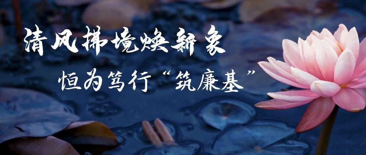 全程跟进监督确保风清气正:构建廉洁高效工作新格局