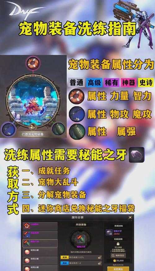 dnf代币券能买宠物自选吗?附实测
